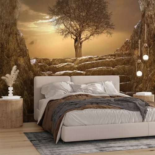 Papier peint  Escalier et vue sur un arbre