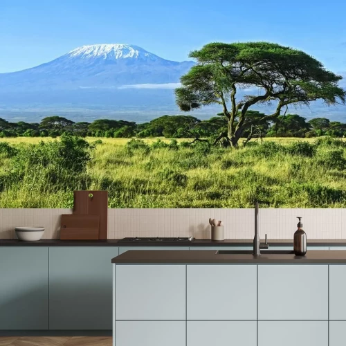 Papier peint  Paysage verdoyant avec le Kilimandjaro en arrière-plan