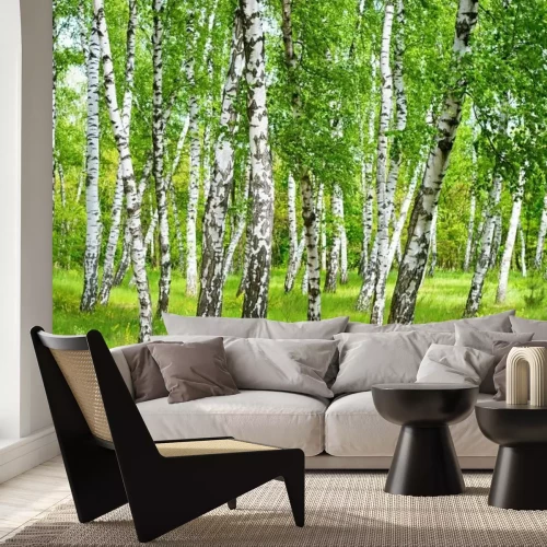 Papier peint  Birchgrove