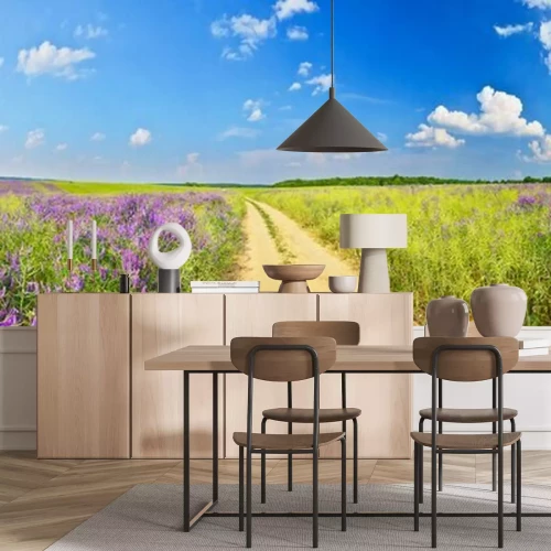 Papier peint  Panorama d'une route de campagne et de champs d'herbe