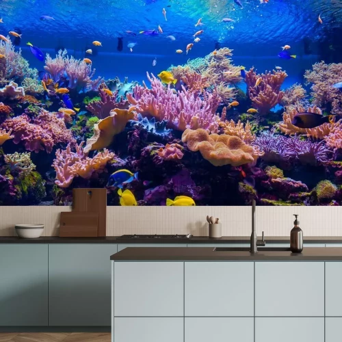 Papier peint  Récif de corail et poissons des tropiques