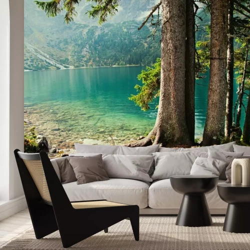 Papier peint  Arbres forêt lac