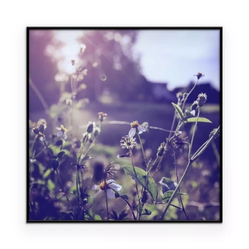 Poster  Une prairie capturée dans un style photographique rétro