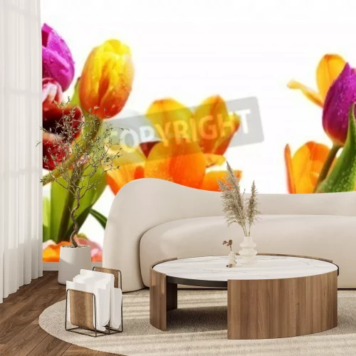 Papier peint  Tulipes colorées