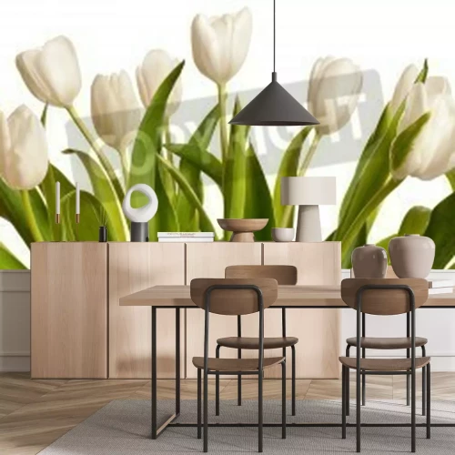 Papier peint  Tulipes blanches avec les feuilles vertes