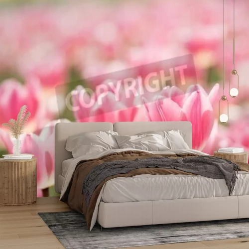 Papier peint  Champ de tulipes roses