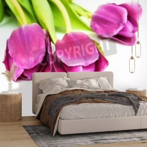 Papier peint  Trois tulipes roses