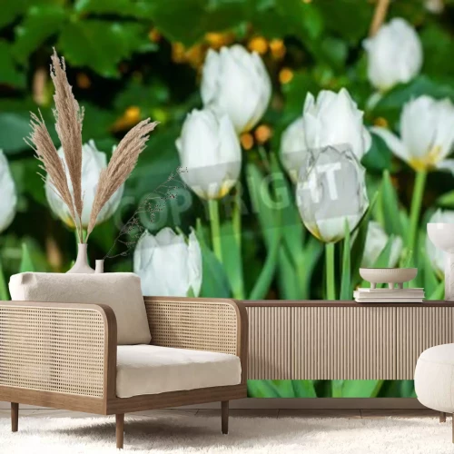 Papier peint  Tulipes blanches dans le jardin