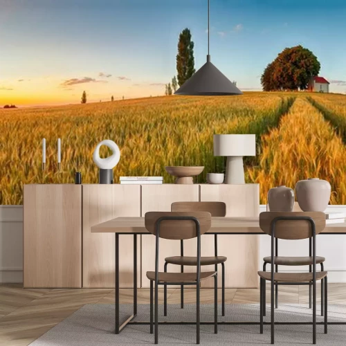 Papier peint  Panorama ensoleillé d'un champ de blé