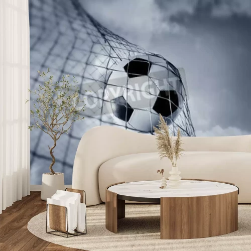 Papier peint  Balle au fond du filet crépuscule