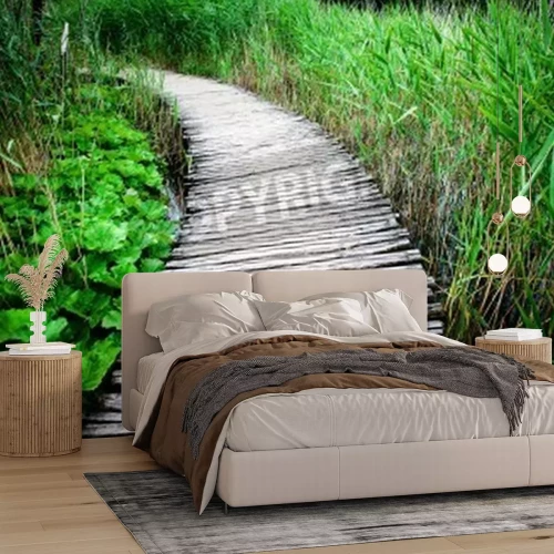 Papier peint  Passerelle en bois en milieu végétal