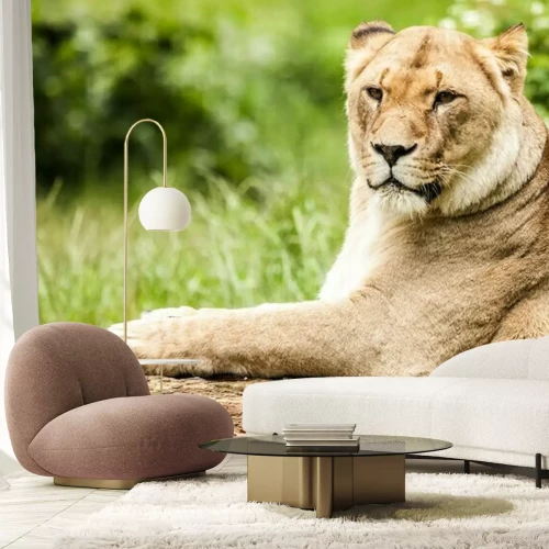 Papier peint  Lionne couchée sur le bois
