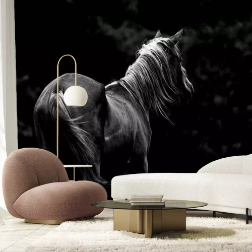 Papier peint  Silhouette de cheval gris