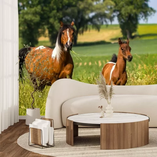 Papier peint  Cheval et poulain au milieu des herbes