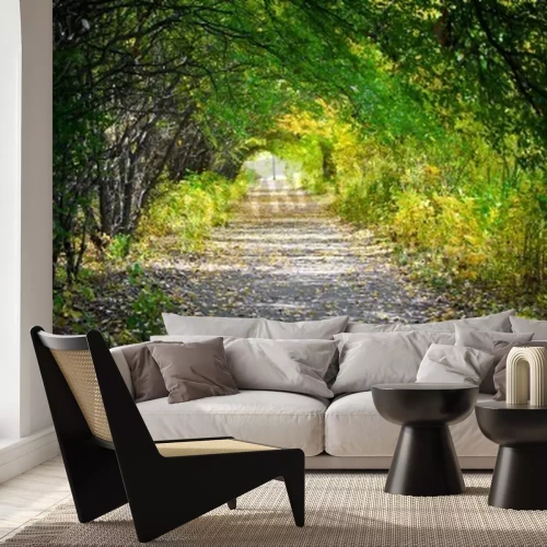 Papier peint  Tunnel avec des branches