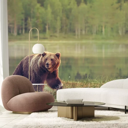 Papier peint  Un ours sur fond de lac et de paysage forestier