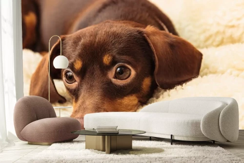 Visualisation du produit