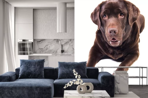 Visualisation du produit