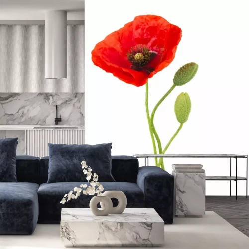 Papier peint  Coquelicot rouge sur fond blanc