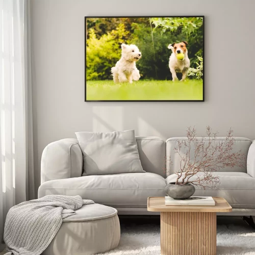 Visualisation du produit