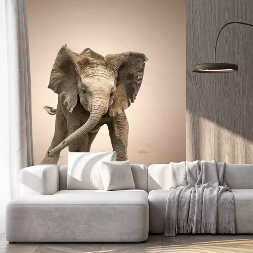 Papier peint  Un éléphant jouant dans le sable