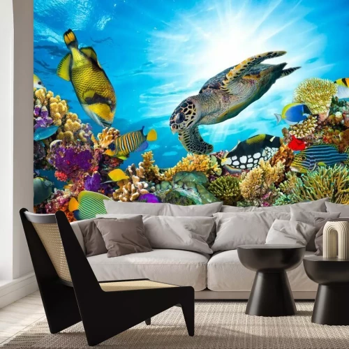 Papier peint  Tortues de mer et récif corallien