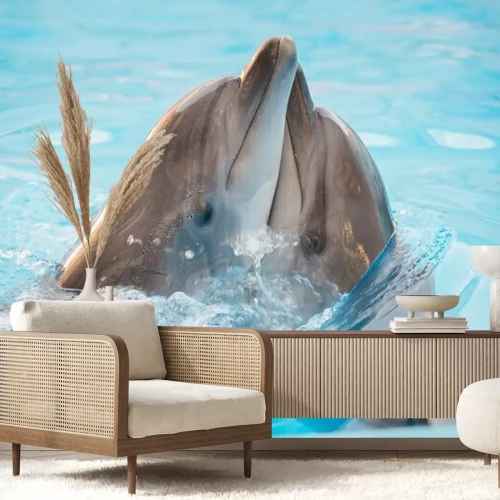 Papier peint  Dauphins se câlinant