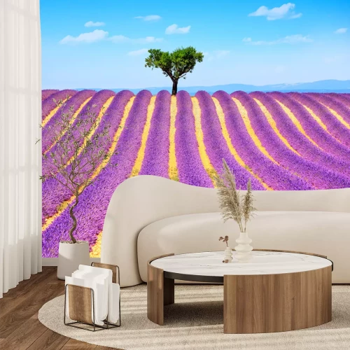 Sticker  Champs de lavande avec un arbre