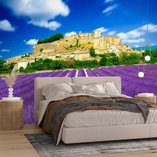 Papier peint  Les champs de lavande en France - de Provence