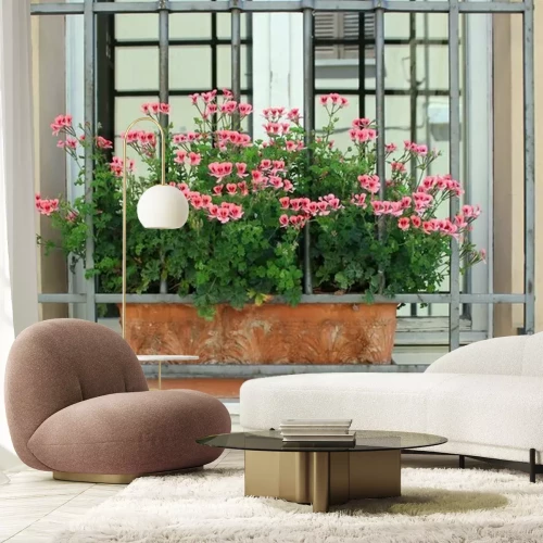Papier peint  Fleurs de géranium devant une fenêtre