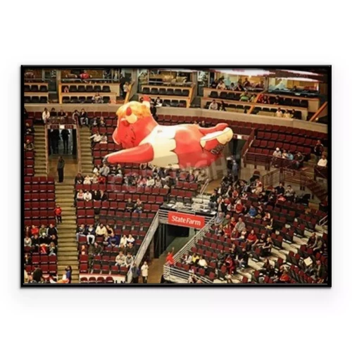 Visualisation du produit