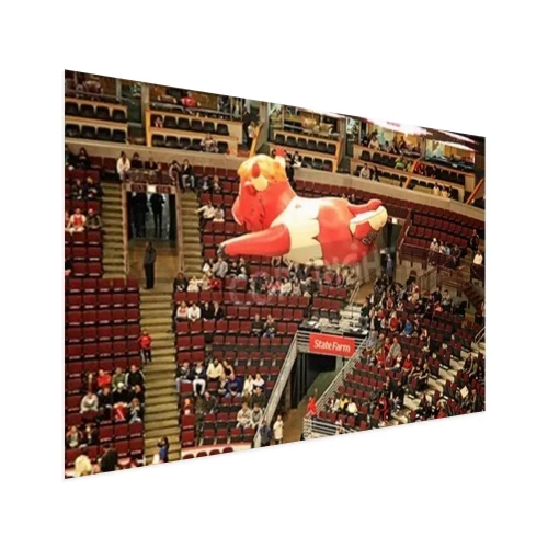 Visualisation du produit