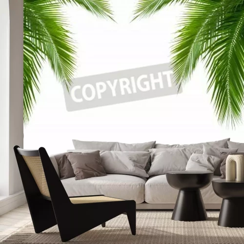 Papier peint  Feuilles de cocotier des tropiques