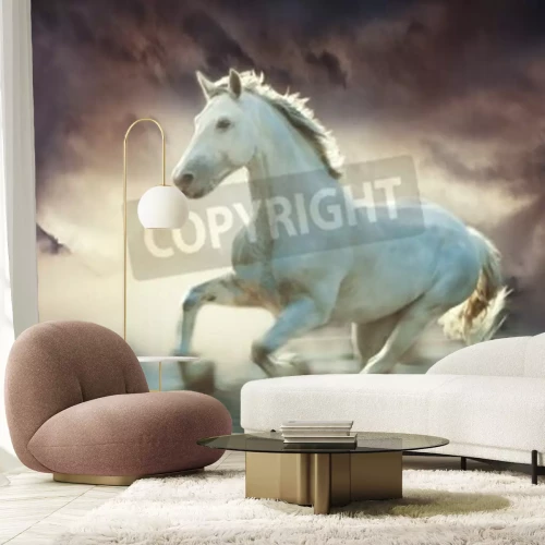 Papier peint  Cheval blanc dans le brouillard