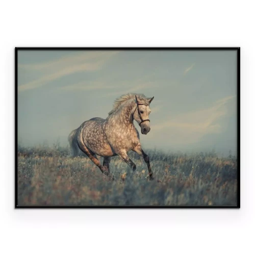 Poster  Un cheval dans l'herbe sur fond de ciel bleu