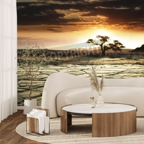 Papier peint  Arbre sec dans le désert