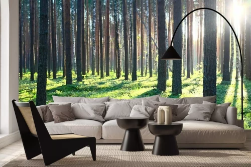 Visualisation du produit