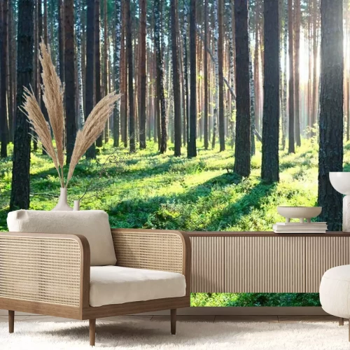 Papier peint  Pins dans la forêt