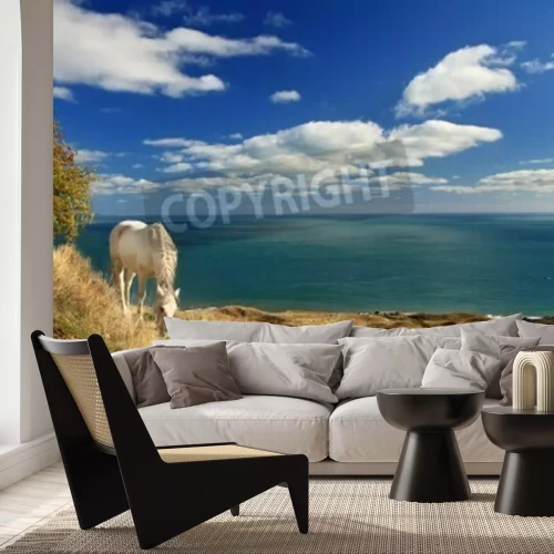 Papier peint  Cheval dans un paysage marin