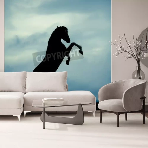 Papier peint  Silhouette de cheval noir