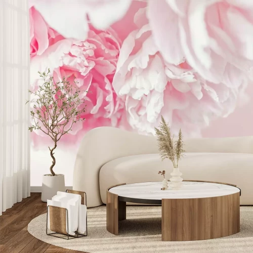Papier peint  Pivoines sur fond rose