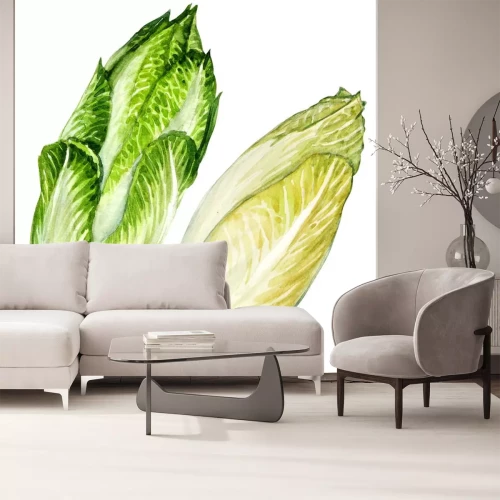 Sticker  chef de la chicorée endive belge isolé