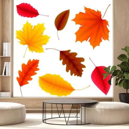 Sticker  Autumn Leaves Set