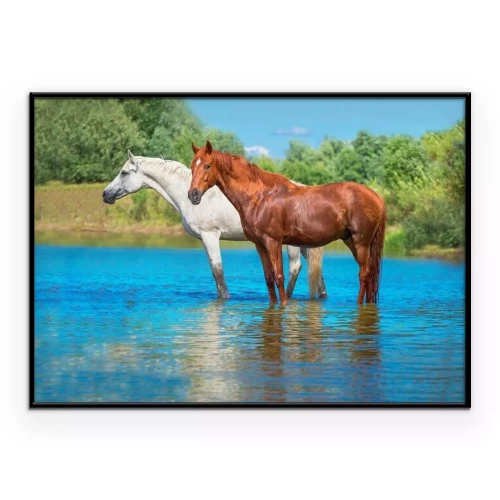 Poster  Deux chevaux se reposant dans une rivière