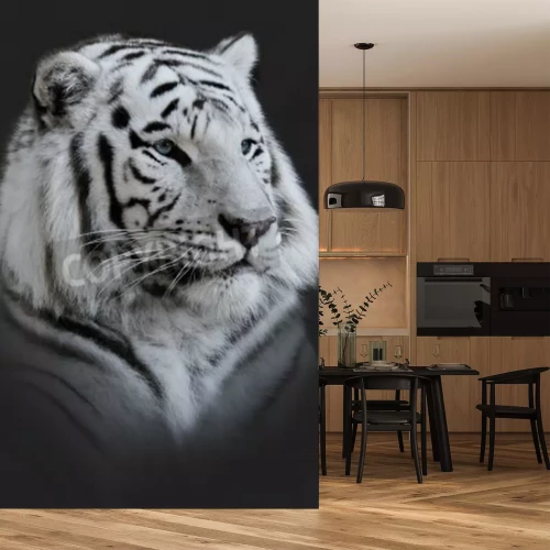 Papier peint  Portrait de tigre majestueux