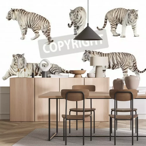 Papier peint  Tigres 3D sur fond blanc