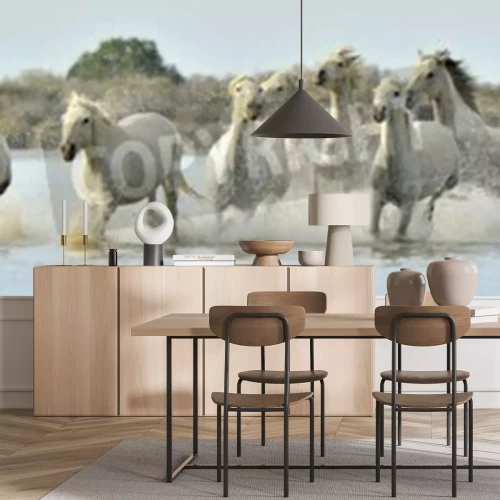 Papier peint  Troupeau de chevaux sauvages au galop