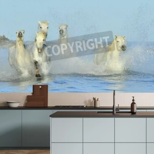 Papier peint  Chevaux sauvages dans l'eau