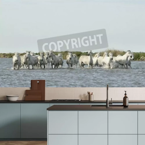 Papier peint  Troupeau de chevaux dans l'eau
