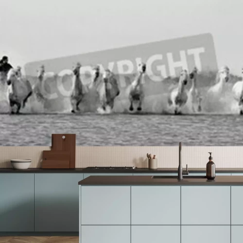 Papier peint  Chevaux noir et blanc